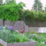 backyard garden